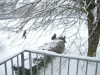 Vignette 20101219-Decroissants62CoraLens-55.jpg 