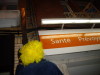 Vignette 20110129-DecroissanceLensOperationNeons-20.jpg 