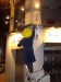Vignette 20110129-DecroissanceLensOperationNeons-53.jpg 