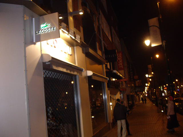 20110129-DecroissanceLensOperationNeons-51.jpg 