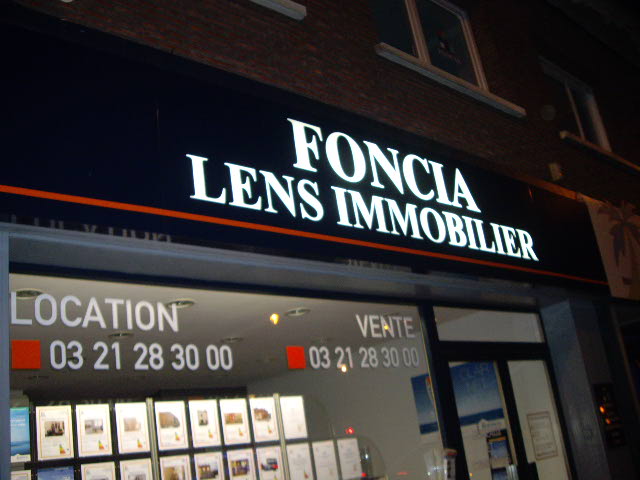 20110129-DecroissanceLensOperationNeons-75.jpg 