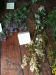 Vignette 20110813et14-FestivalDecroissantsNamur-115.jpg 