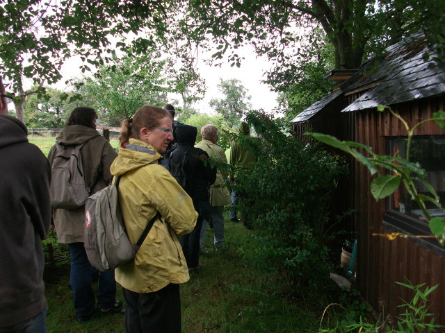 20110813et14-FestivalDecroissantsNamur-046.jpg 