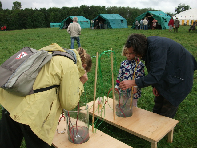 20110813et14-FestivalDecroissantsNamur-084.jpg 