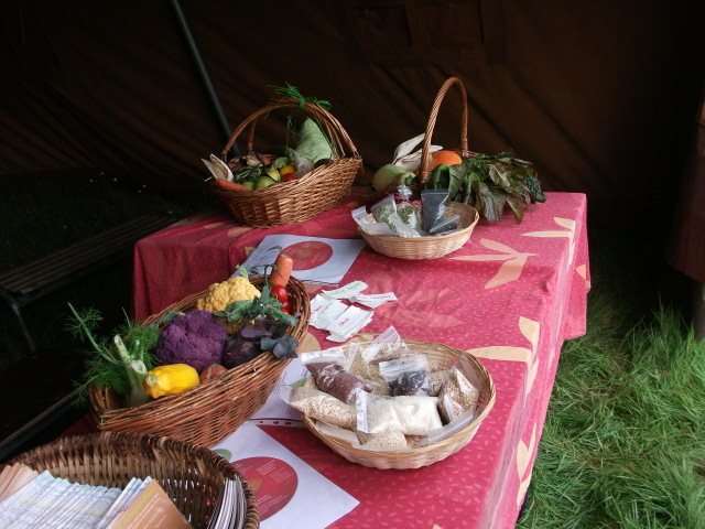 20110813et14-FestivalDecroissantsNamur-124.jpg 