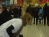 Vignette 20111211-OC62-CarrefourLievin-003.jpg 