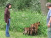 Vignette 20120630-PiqueNiqueFamilialOC62-013.jpg 