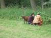 Vignette 20120630-PiqueNiqueFamilialOC62-042.jpg 