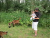 Vignette 20120630-PiqueNiqueFamilialOC62-045.jpg 