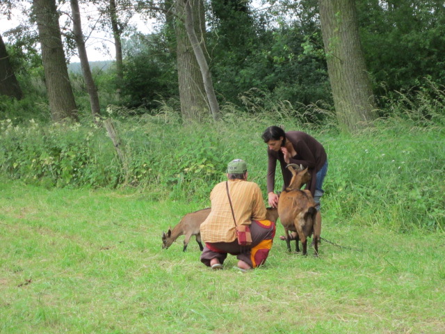 20120630-PiqueNiqueFamilialOC62-043.jpg 