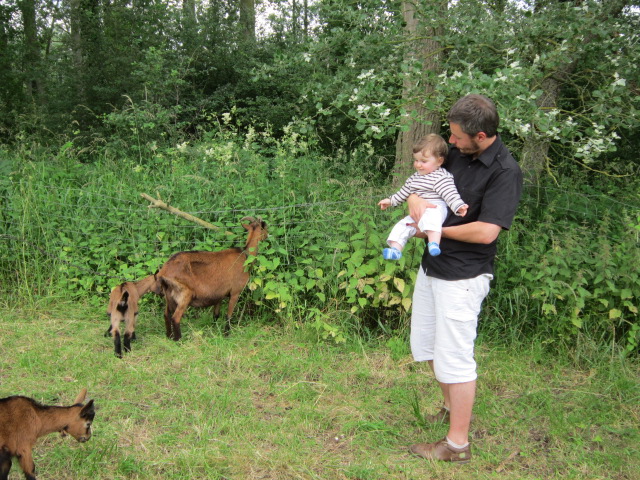 20120630-PiqueNiqueFamilialOC62-045.jpg 